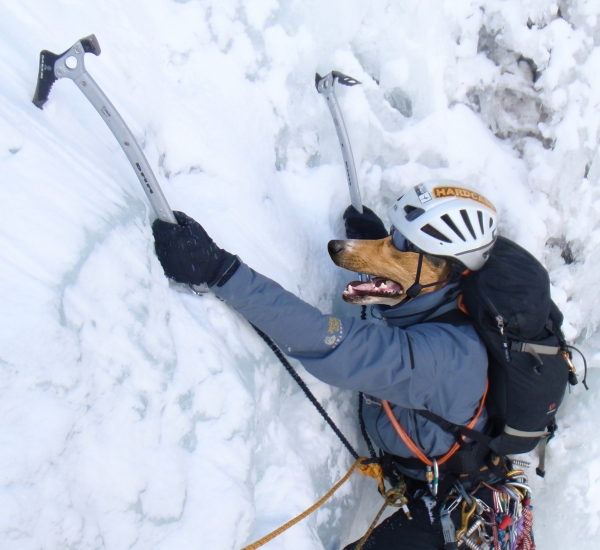 Creation of dog climber: Step 2